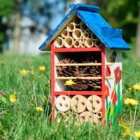 Insektenhotel zum Bemalen