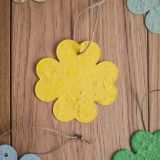 cz-800-1000-seedpap2020-12