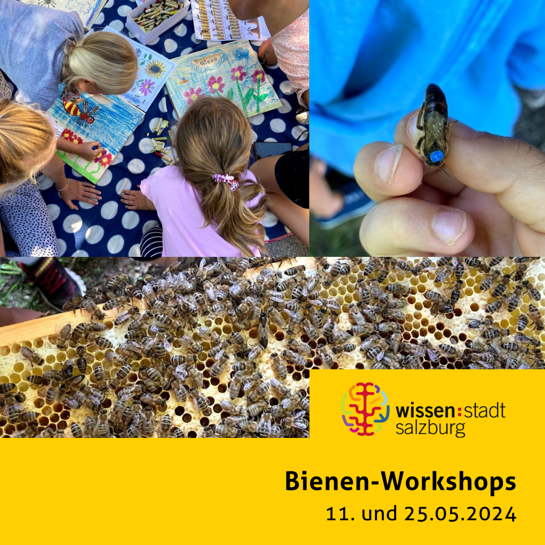 Workshop-Bienenpaedagogik-Instagram-Post